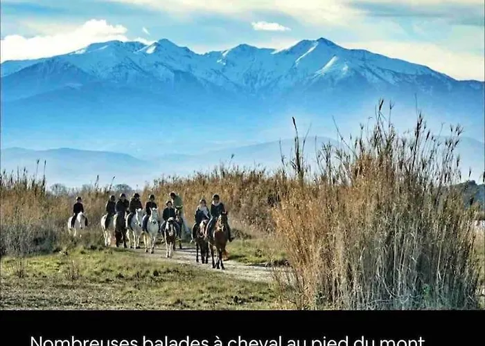 2 Terrasses Joliet2 Clim, Parking Privé *